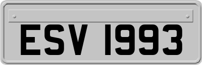 ESV1993