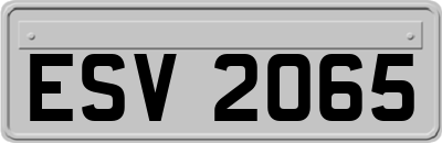 ESV2065