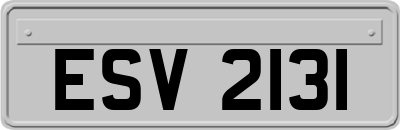 ESV2131
