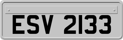 ESV2133
