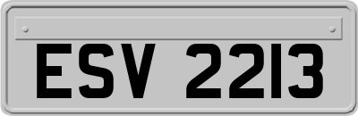 ESV2213