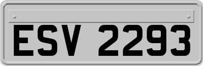 ESV2293