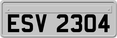 ESV2304
