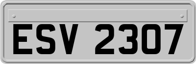 ESV2307
