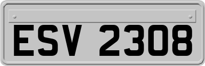 ESV2308