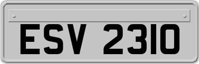 ESV2310