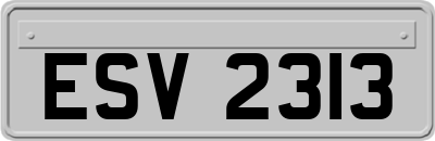 ESV2313