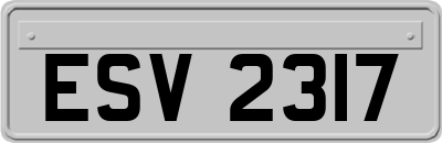 ESV2317