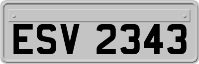 ESV2343