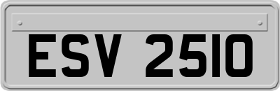 ESV2510