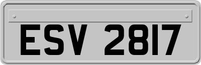 ESV2817