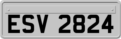 ESV2824