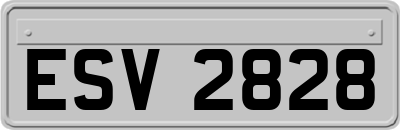 ESV2828