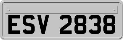 ESV2838