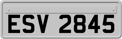 ESV2845