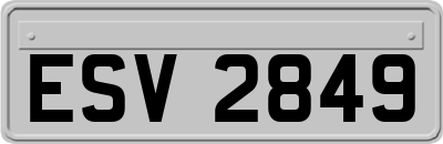ESV2849