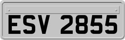 ESV2855