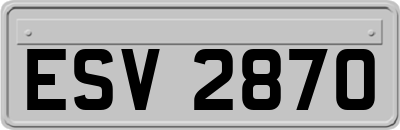 ESV2870
