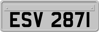 ESV2871