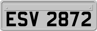 ESV2872