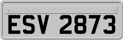 ESV2873
