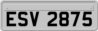 ESV2875