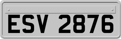 ESV2876