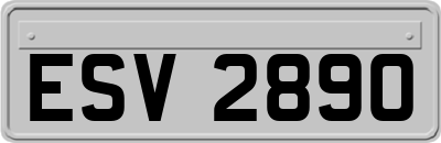 ESV2890