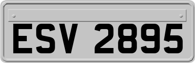 ESV2895