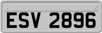 ESV2896