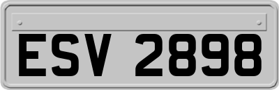ESV2898