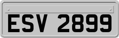 ESV2899