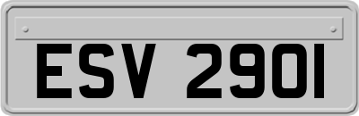 ESV2901