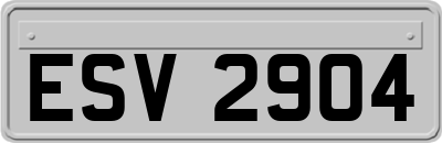 ESV2904
