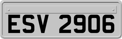 ESV2906