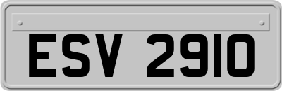ESV2910