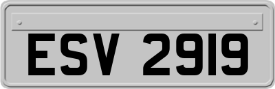 ESV2919