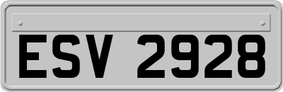 ESV2928