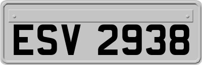 ESV2938