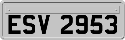 ESV2953
