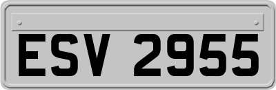 ESV2955