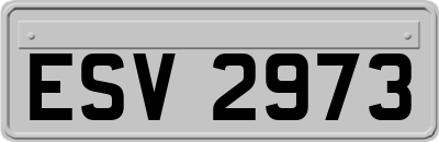 ESV2973