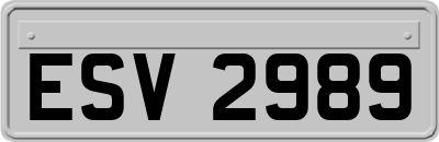 ESV2989