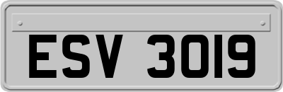 ESV3019