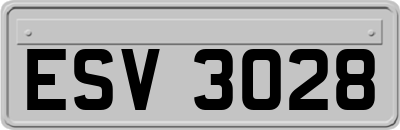 ESV3028
