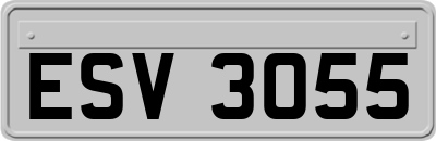 ESV3055