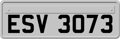 ESV3073