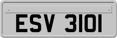 ESV3101