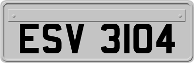 ESV3104