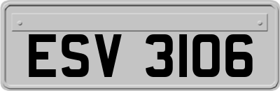 ESV3106